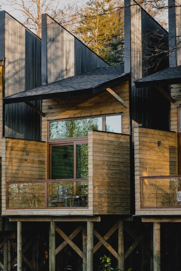 Ni-Newen Hotel & Lodge Pucon Ngoại thất bức ảnh