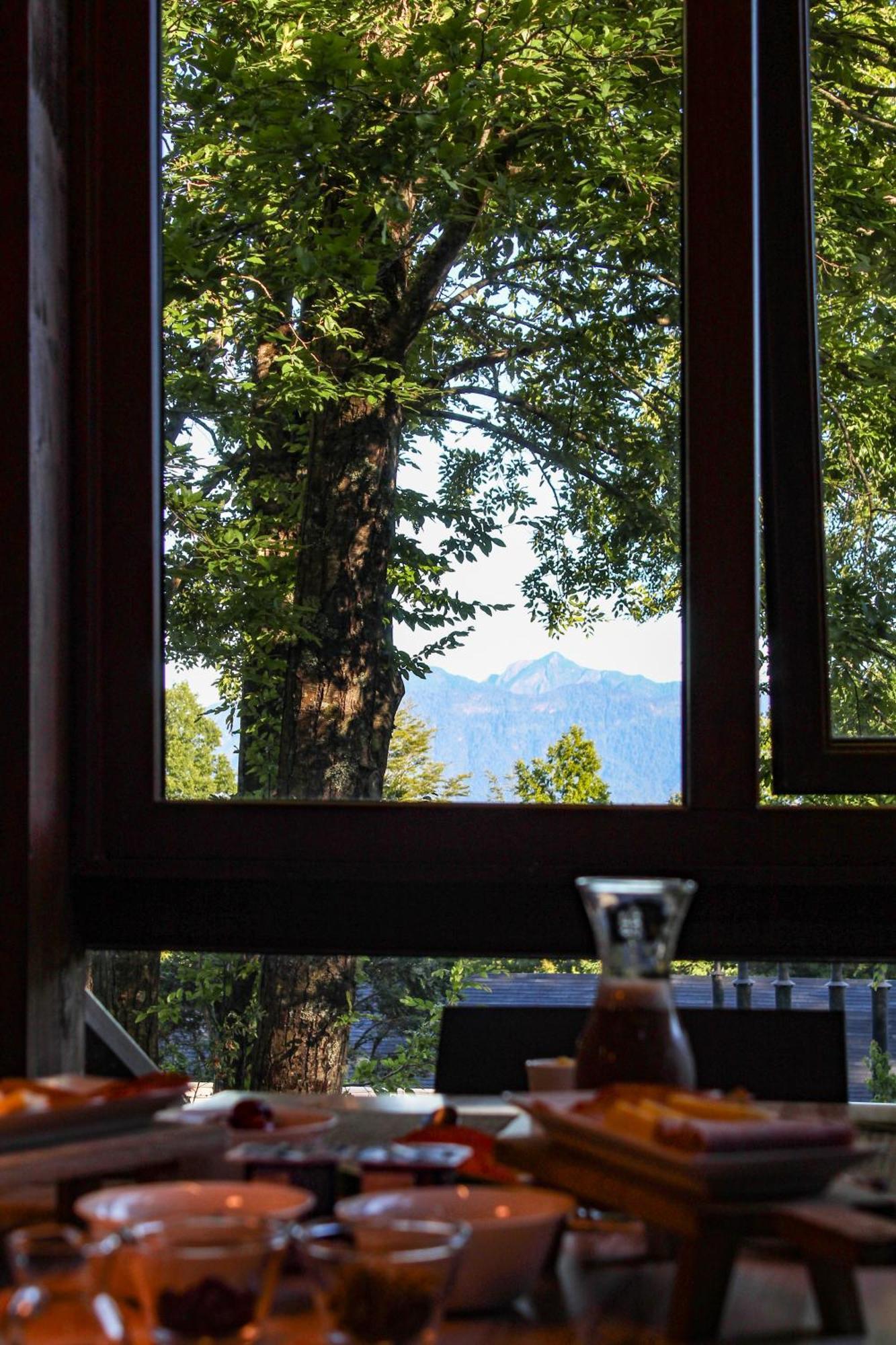 Ni-Newen Hotel & Lodge Pucon Ngoại thất bức ảnh